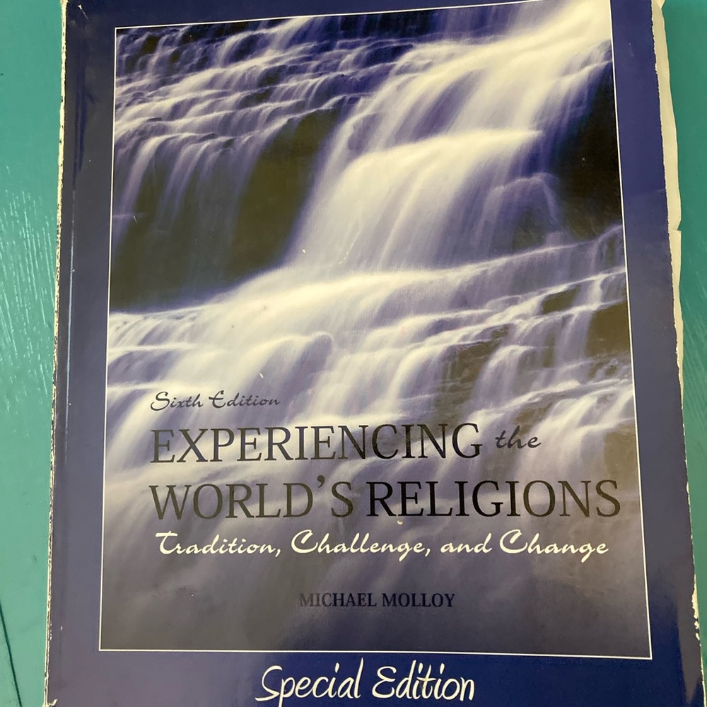 🐕‍🦺🐕🐩🦮ACCEPTING OFFERS🐕‍🦺🐕🐩🦮Experiencing the World’s Religions book